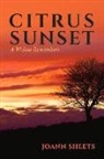 Joann Sheets - Citrus Sunset: A Widow Remembers Volume 1