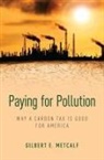 Gilbert Metcalf, Gilbert E. Metcalf, Gilbert E. (Tufts University) Metcalf, Metcalf Gilbert E. - Paying for Pollution