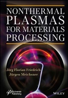 Friedrich, J Friedrich, Joerg Friedrich, Joerg Florian (Bundesanstalt Fur Materi Friedrich, Joerg Meichsner Friedrich, Jorg Friedrich... - Nonthermal Plasmas for Materials Processing