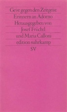 Marina Calloni, Josef Früchtl - Geist gegen den Zeitgeist