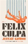 Jeremy Gavron - Felix Culpa