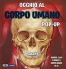 Sue Harris, Emily Hawkins, K. Thompson - Occhio al corpo umano. Libro pop-up