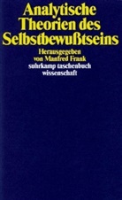 Analytische Theorien des Selbstbewußtseins