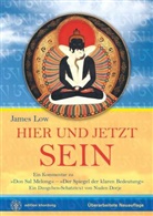 Nuden Dorje, Jame Low, James Low, Andrea Ruft, Andreas Ruft - Hier und Jetzt Sein, m. 1 Audio