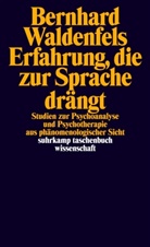 Bernhard Waldenfels - Erfahrung, die zur Sprache drängt