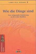 Ole Nydahl - Wie die Dinge sind