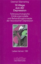 Dietmar Stiemerling - 10 Wege aus der Depression