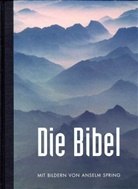 Bibelausgaben: Die Bibel, Anselm-Spring-Bibel