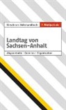 Andrea Holzapfel, Andreas Holzapfel - Landtag von Sachsen-Anhalt