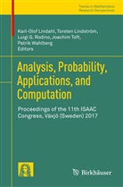 Luigi G Rodino et al, Karl¿Olof Lindahl, Karl-Olof Lindahl, Karl‐Olof Lindahl, Torste Lindström, Torsten Lindström... - Analysis, Probability, Applications, and Computation