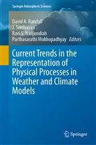 P. Mukhopadhyay, Parthasarathi Mukhopadhyay, Ravi A. Nanjundiah, Ravi S. Nanjundiah, David A. Randall, Ravi S Nanjundiah et al... - Current Trends in the Representation of Physical Processes in Weather and Climate Models