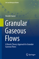 Vicente Garzó, Vicente Garzó Puertos - Granular Gaseous Flows