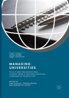 Ivar Bleiklie, Jürge Enders, Jürgen Enders, Benedetto Lepori - Managing Universities