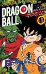 Akira Toriyama - Piccolo 1