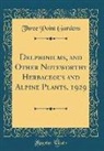 Three Point Gardens - Delphiniums, and Other Noteworthy Herbaceous and Alpine Plants, 1929 (Classic Reprint)