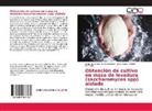 Jua López, Juan López, Jesus Francisc Nieves Machado, Jesus Francisco Nieves Machado, Torrea, Miguel Torrealba - Obtención de cultivo en masa de levadura (saccharomyces spp) aislada