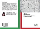 Maria Gagliardi - Città-Territorio