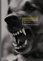Anthon Amatrudo, Anthony Amatrudo - Social Censure and Critical Criminology