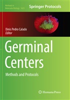 Dinis Pedro Calado, Dini Pedro Calado, Dinis Pedro Calado - Germinal Centers