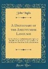 John Inglis - A Dictionary of the Aneityumese Language