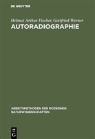 Helmut Arthur Fischer, Gottfried Werner - Autoradiographie