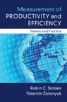 Professor Robin C. (Rice University Sickles, Robin C. Sickles, Robin C. (Rice University Sickles, Sickles Robin C., Professor Valentin (University of Queensland) Zelenyuk, Valentin Zelenyuk - Measurement of Productivity and Efficiency