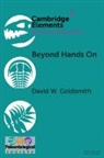 David W. Goldsmith, David W. (Westminster College Goldsmith - Beyond Hands on