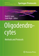 Davi A Lyons, David A Lyons, KEGEL, Kegel, Linde Kegel, David Lyons... - Oligodendrocytes