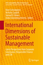 Nichola Capaldi, Nicholas Capaldi, Samuel O Idowu, Samuel O. Idowu, Anika Lotter, Samuel O Idowu et al... - International Dimensions of Sustainable Management