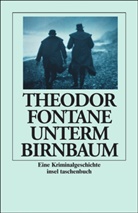Theodor Fontane - Unterm Birnbaum, Großdruck