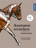 Gillia Higgins, Gillian Higgins, Stephanie Martin - Anatomie verstehen - besser reiten