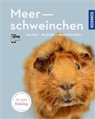 Angela Beck - Meerschweinchen