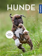 Kate Kitchenham - Hunde