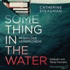 Catherine Steadman, Tanja Fornaro - Something in the Water - Im Sog des Verbrechens, 2 Audio-CD, 2 MP3 (Hörbuch)