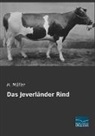 H Müller, H. Müller - Das Jeverländer Rind