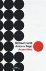 Michael Hardt, Antonio Negri - Assemblea