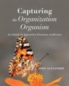 John Alexander - Capturing the Organization Organism