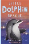 Rachel Delahaye - Little Dolphin Rescue