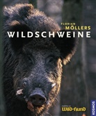 Florian Möllers - Wildschweine