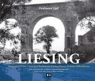 Ferdinand Opll - Liesing