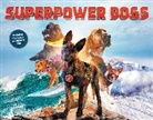 Cosmic, Cosmic (COR) - Superpower Dogs