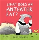 Ross Collins, Ross Collins - What Does an Anteater Eat?