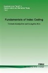 Fatemeh Arbabjolfaei, Young-Han Kim - Fundamentals of Index Coding