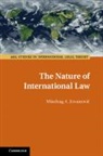 Miodrag A Jovanovic, Miodrag A. Jovanovic, Miodrag A. Jovanović - Nature of International Law