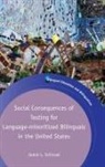 Jamie L Schissel, Jamie L. Schissel - Social Consequences of Testing for Language-Minoritized Bilinguals in the United States