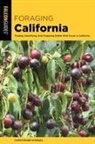 Christopher Nyerges - Foraging California