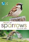 Amy-Jane Beer - RSPB Spotlight Sparrows