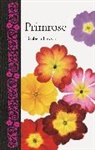 Elizabeth Lawson, Lawson Elizabeth - Primrose