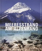 Erich Steiner, Harald Steininger - Meeresstrand am Alpenrand