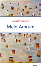 Annette Pehnt - Mein Amrum
